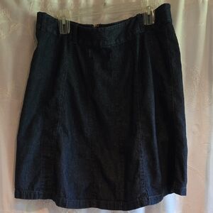 Ann Taylor Dark Blue A-Line Skirt